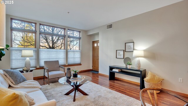 living room featuring hardwood / wood-style flooring