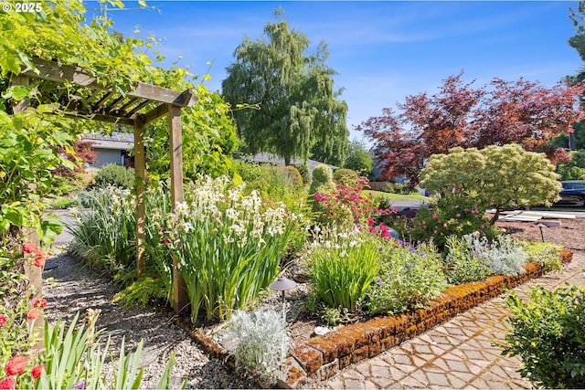 2320 SW Canby Ct, Portland, OR 97219 - view of yard