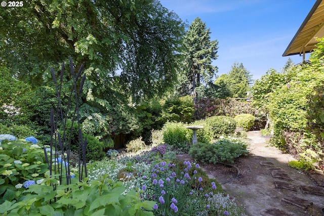 2320 SW Canby Ct, Portland, OR 97219 - view of yard