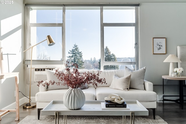 living room featuring wood-type flooring