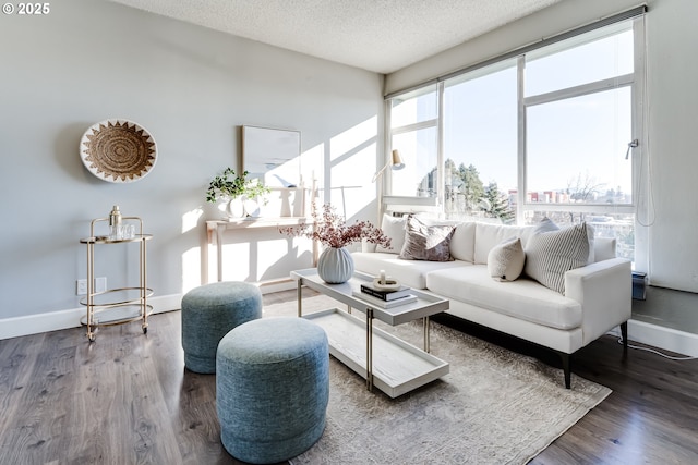 living room featuring wood-type flooring and a textured ceiling