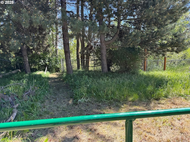 404 NE High St, Goldendale, WA 98620 - view of yard