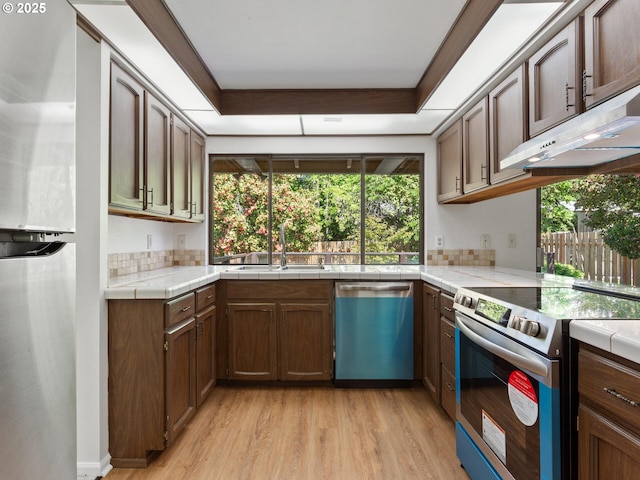 kitchen featuring a sink, light wood finished floors, a healthy amount of sunlight, and stainless steel appliances
