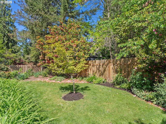 view of yard featuring fence