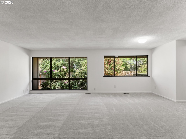 spare room with baseboards, a wealth of natural light, and carpet