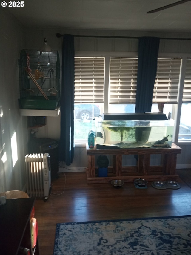 interior space featuring hardwood / wood-style floors, radiator, and ceiling fan