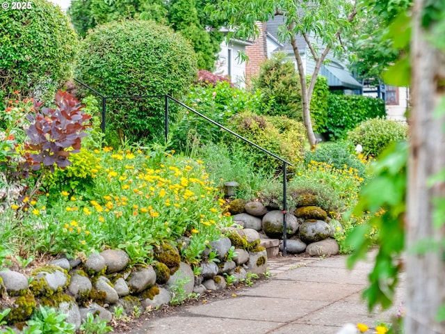 4415 SE Stark St, Portland, OR 97215 - view of yard