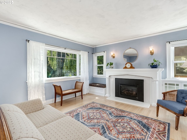 4415 SE Stark St, Portland, OR 97215 - living room featuring wood finished floors, a glass covered fireplace, and ornamental molding