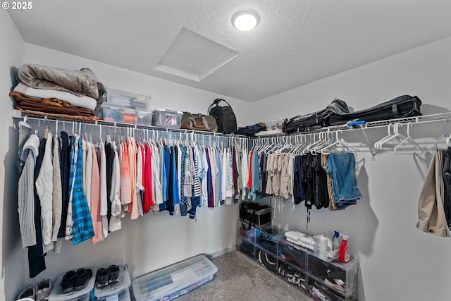 822 Spyglass Dr, Bandon, OR 97411 - spacious closet with attic access