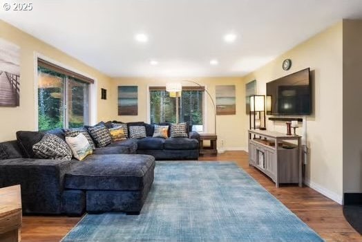 living room with dark hardwood / wood-style flooring