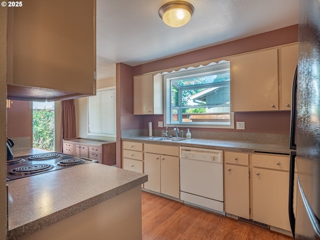 841 NE Kathryn St, Hillsboro, OR 97124 - kitchen featuring dishwasher, a sink, healthy amount of natural light, and freestanding refrigerator