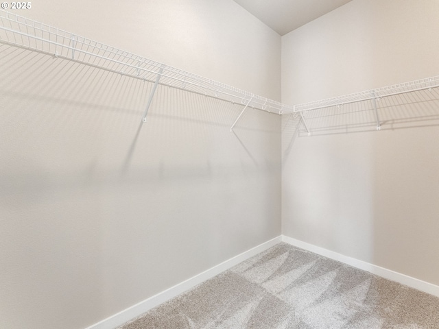 spacious closet with light colored carpet