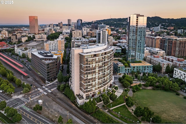 949 NW Overton St Unit 1304, Portland, OR 97209 - city view