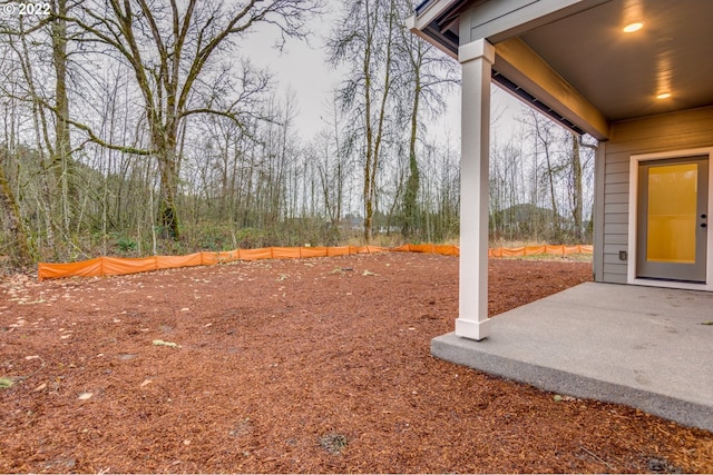 view of yard featuring a patio