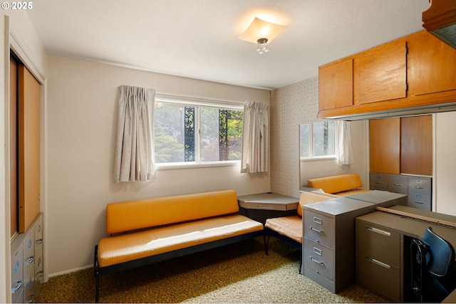 view of carpeted home office