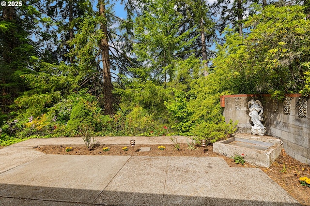 view of yard featuring a patio area
