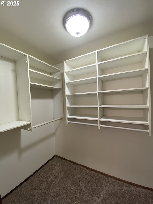 845 Waite St, Eugene, OR 97402 - walk in closet featuring dark carpet