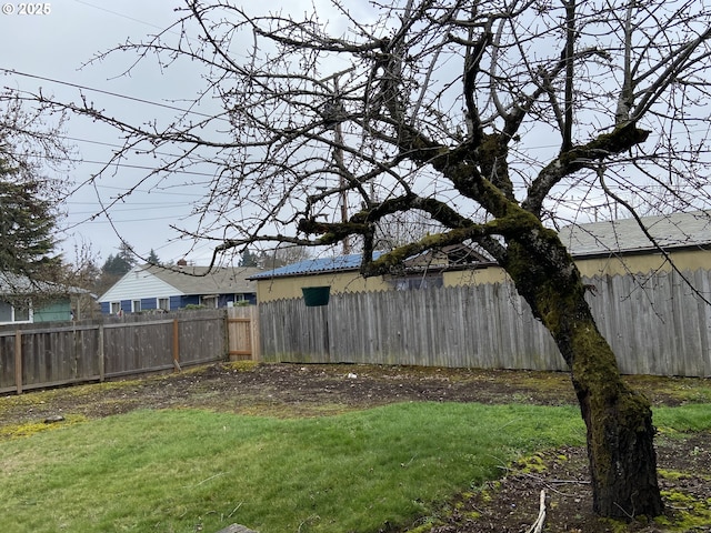 845 Waite St, Eugene, OR 97402 - view of yard
