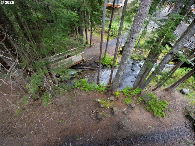 30605 E Camryn Way Unit D20, Government Camp, OR 97028 - view of local wilderness