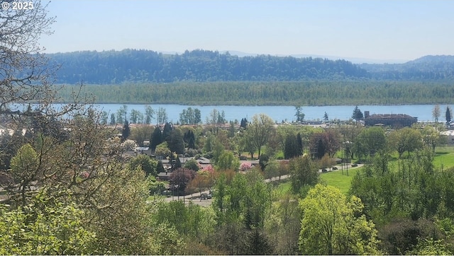 632 W T St, Washougal, WA 98671 - water view featuring a forest