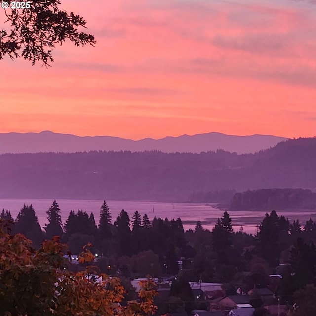 632 W T St, Washougal, WA 98671 - mountain view featuring a large body of water
