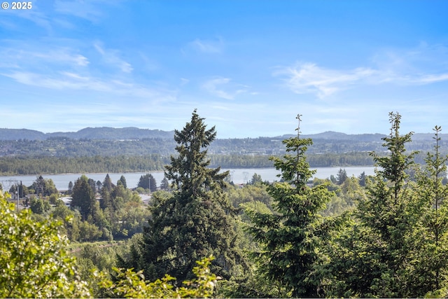 632 W T St, Washougal, WA 98671 - mountain view with a forest and a large body of water
