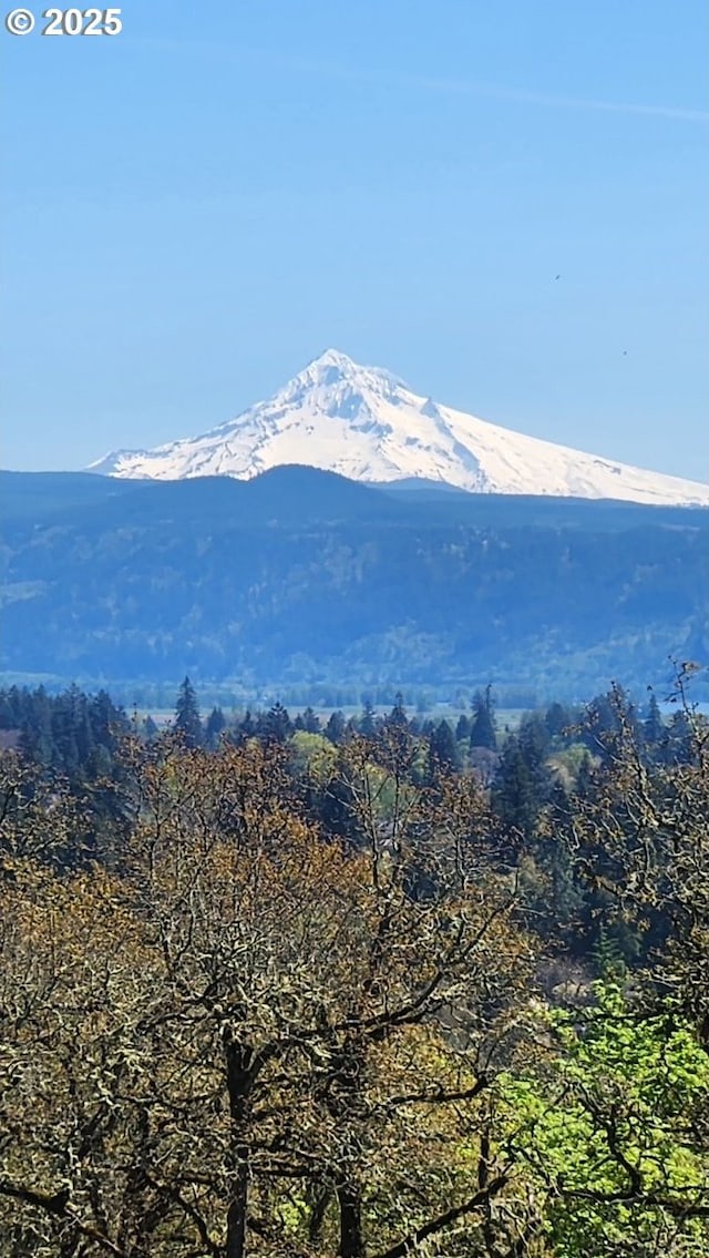 632 W T St, Washougal, WA 98671 - view of mountain backdrop