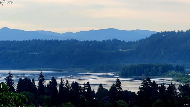 632 W T St, Washougal, WA 98671 - view of mountain backdrop featuring a heavily wooded area and a nearby body of water
