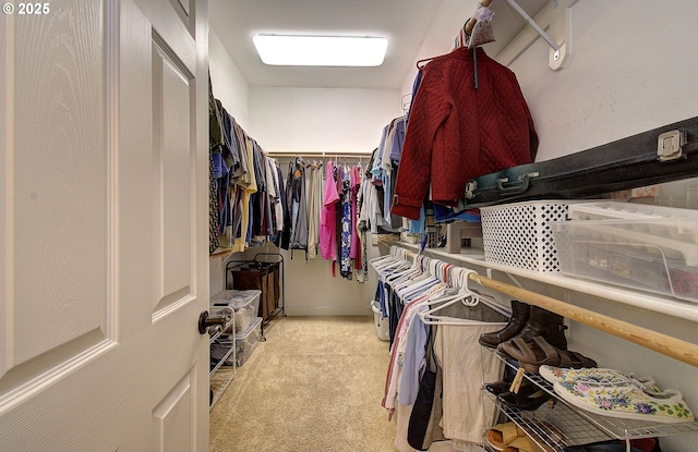 3313 NW Sierra Dr, Camas, WA 98607 - spacious closet featuring light carpet