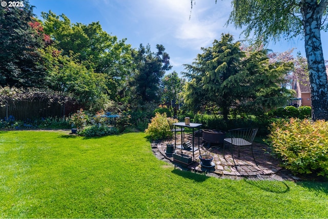 view of yard featuring a patio and a fire pit