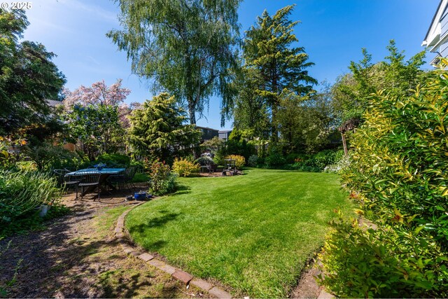 view of yard with outdoor dining space