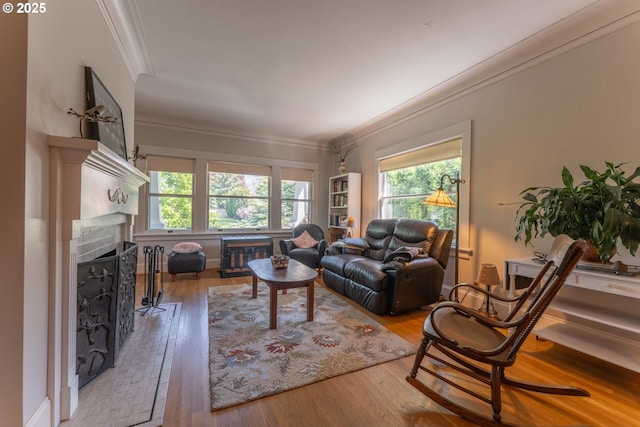 living area with crown molding, a fireplace, and hardwood / wood-style flooring