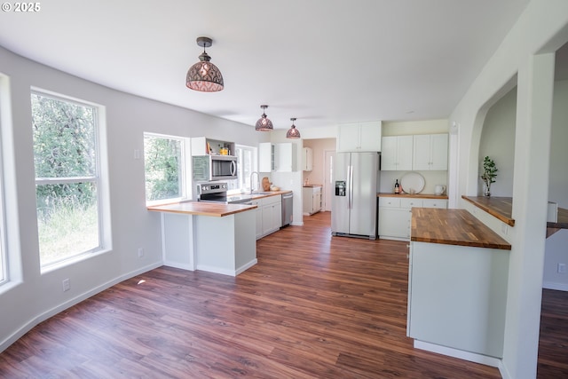 28788 Gimpl Hill Rd, Eugene, OR 97402 - kitchen featuring wood counters, appliances with stainless steel finishes, a sink, dark wood-style floors, and a peninsula