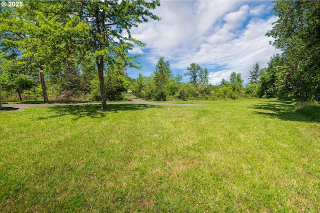 28788 Gimpl Hill Rd, Eugene, OR 97402 - view of grassy yard