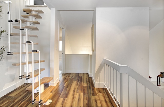 wine room with baseboards and wood finished floors