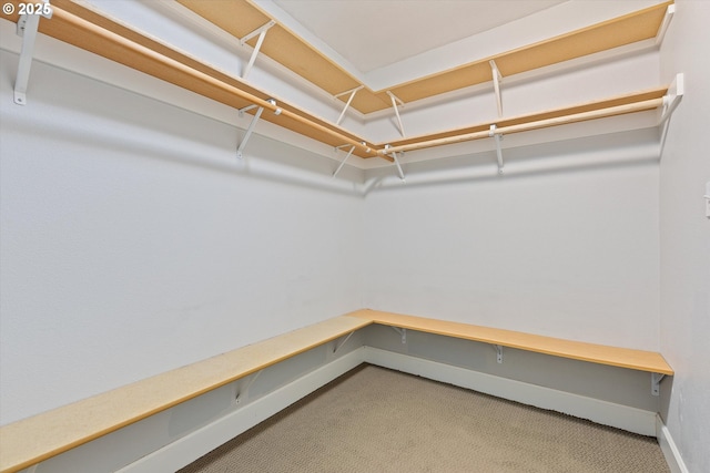 walk in closet with carpet flooring