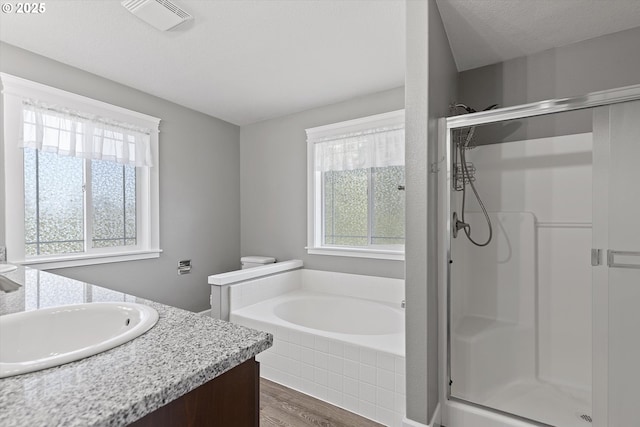 bathroom with vanity, wood-type flooring, plenty of natural light, and independent shower and bath