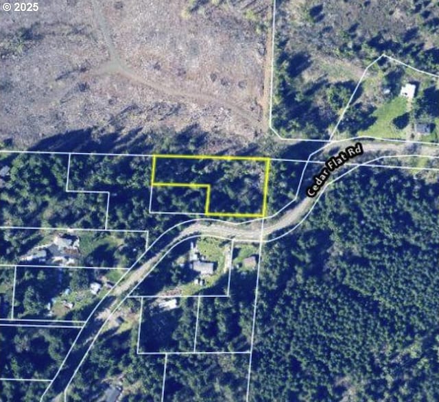 87376 Cedar Flat Rd, Springfield, OR 97478 - map / location with property parcel outlined