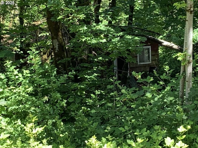 87376 Cedar Flat Rd, Springfield, OR 97478 - view of wooded area