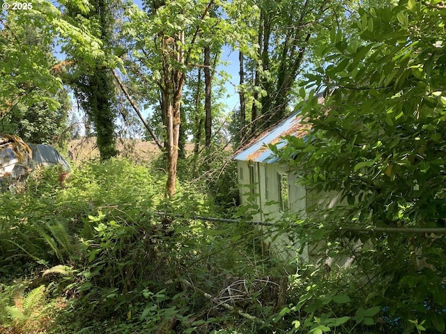 87376 Cedar Flat Rd, Springfield, OR 97478 - view of yard