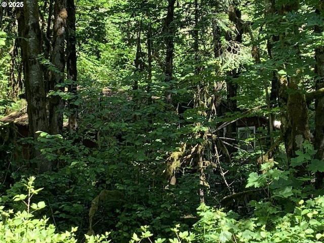 87376 Cedar Flat Rd, Springfield, OR 97478 - view of wooded area