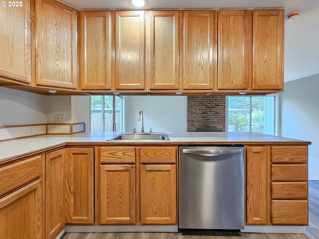 kitchen featuring stainless steel dishwasher, a healthy amount of sunlight, kitchen peninsula, and sink