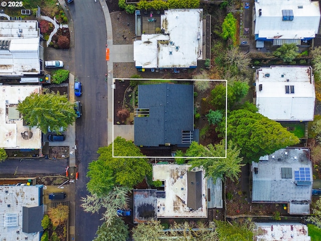 bird's eye view