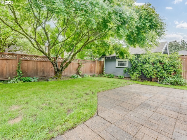 view of yard with a patio area