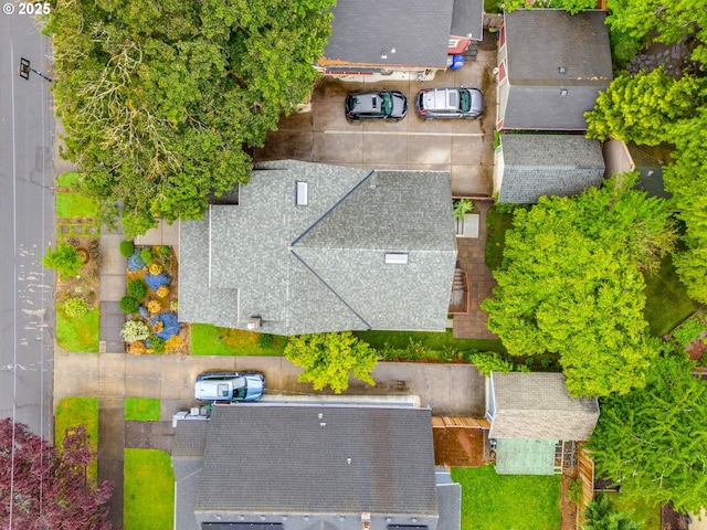 bird's eye view