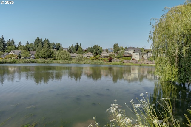 16402 SE Teal Ct, Damascus, OR 97089 - water view with nearby suburban area