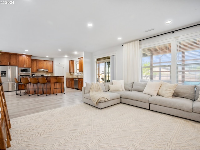 living room with light wood-type flooring