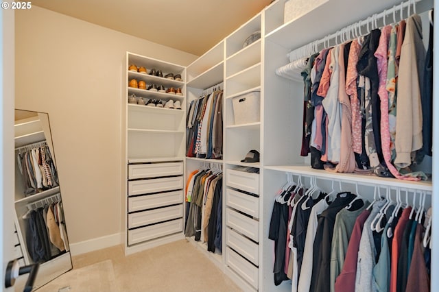 10107 NE 136th Ave, Vancouver, WA 98682 - walk in closet with light carpet