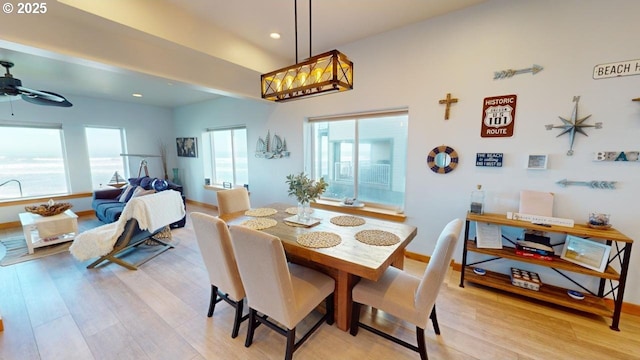 dining room featuring a wealth of natural light, ceiling fan, and light hardwood / wood-style floors