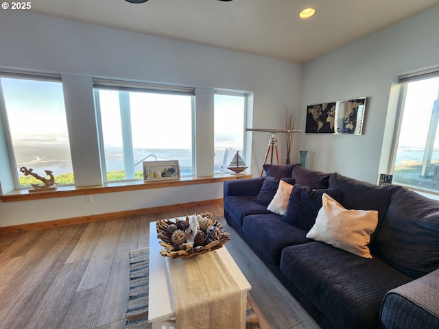 living room with hardwood / wood-style floors, a water view, and a wealth of natural light